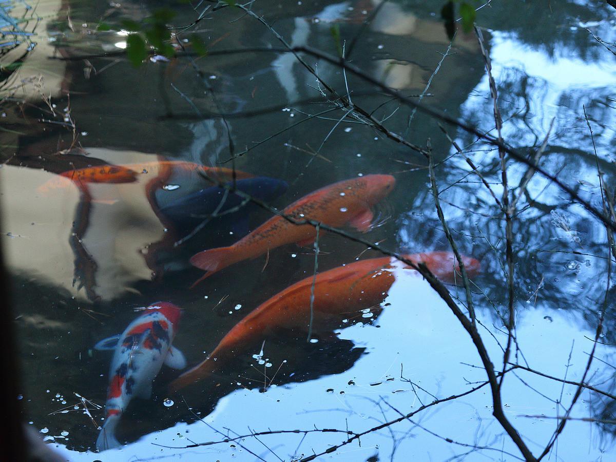Nanzenji Sando Kikusui Kyoto Eksteriør bilde