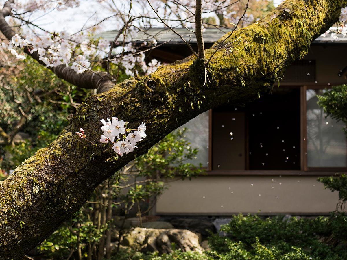 Nanzenji Sando Kikusui Kyoto Eksteriør bilde