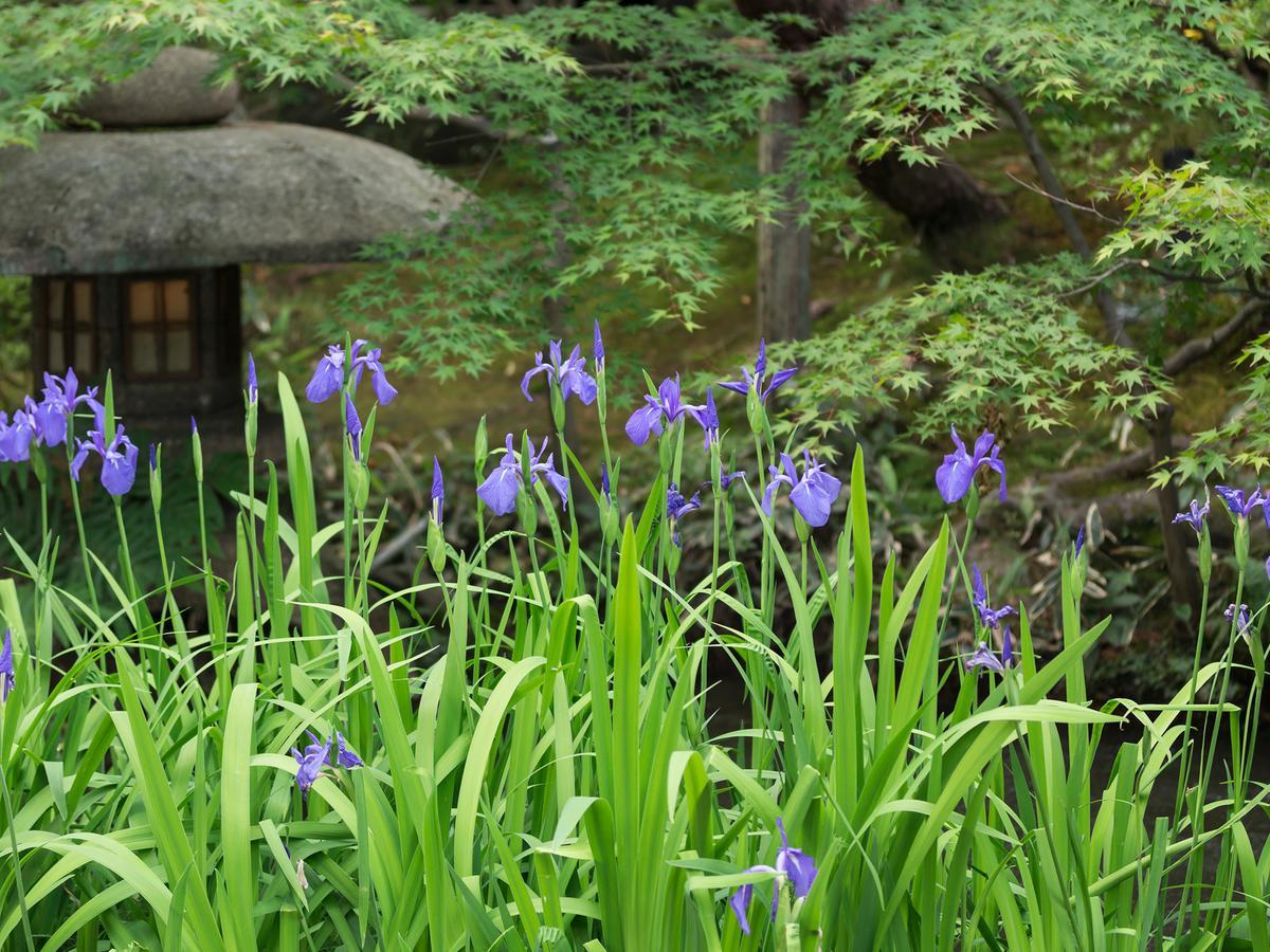 Nanzenji Sando Kikusui Kyoto Eksteriør bilde